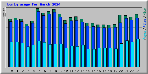 Hourly usage for March 2024