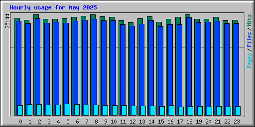 Hourly usage for May 2025