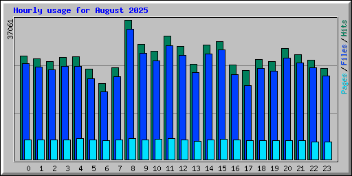 Hourly usage for August 2025