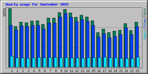 Hourly usage for September 2025