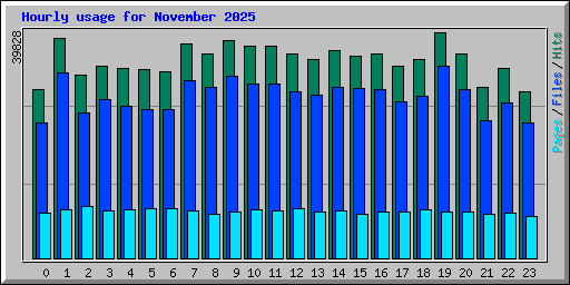 Hourly usage for November 2025
