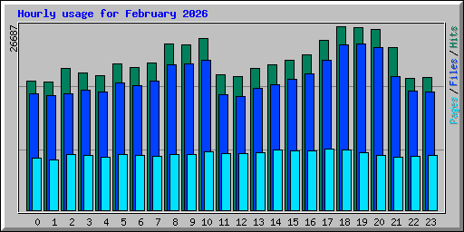 Hourly usage for February 2026